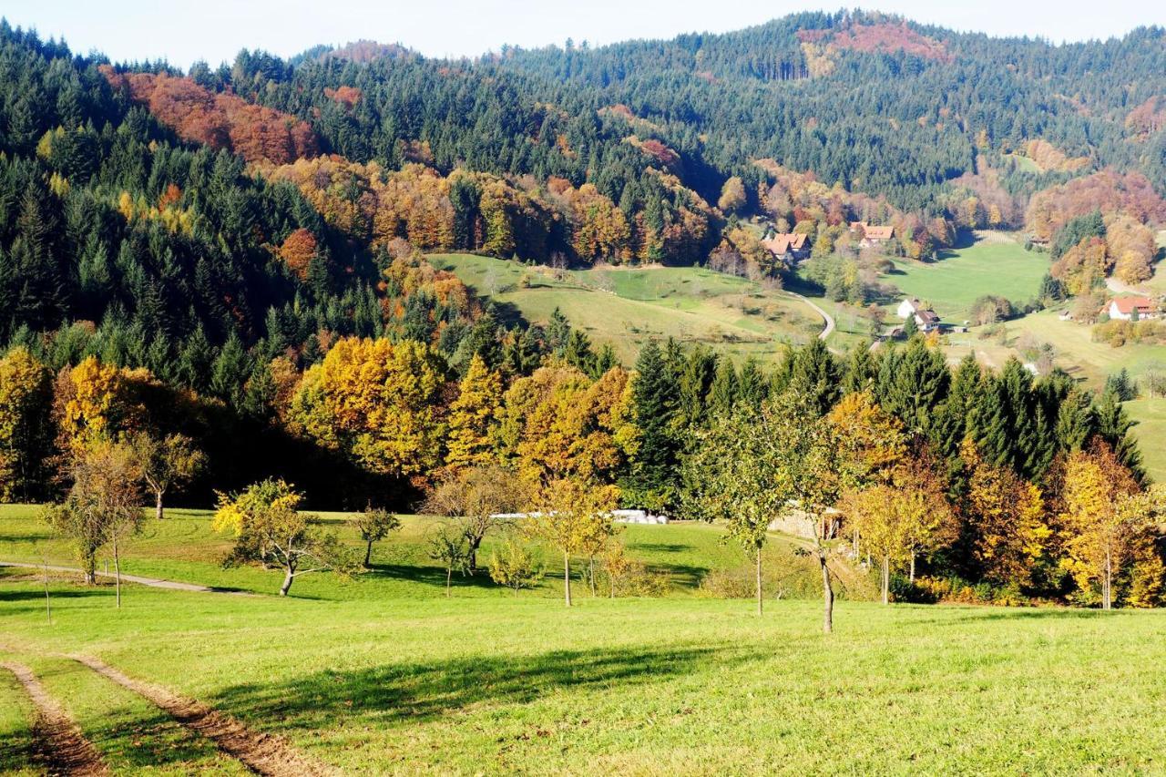 Schnurrenhof Apartment Seebach Bagian luar foto