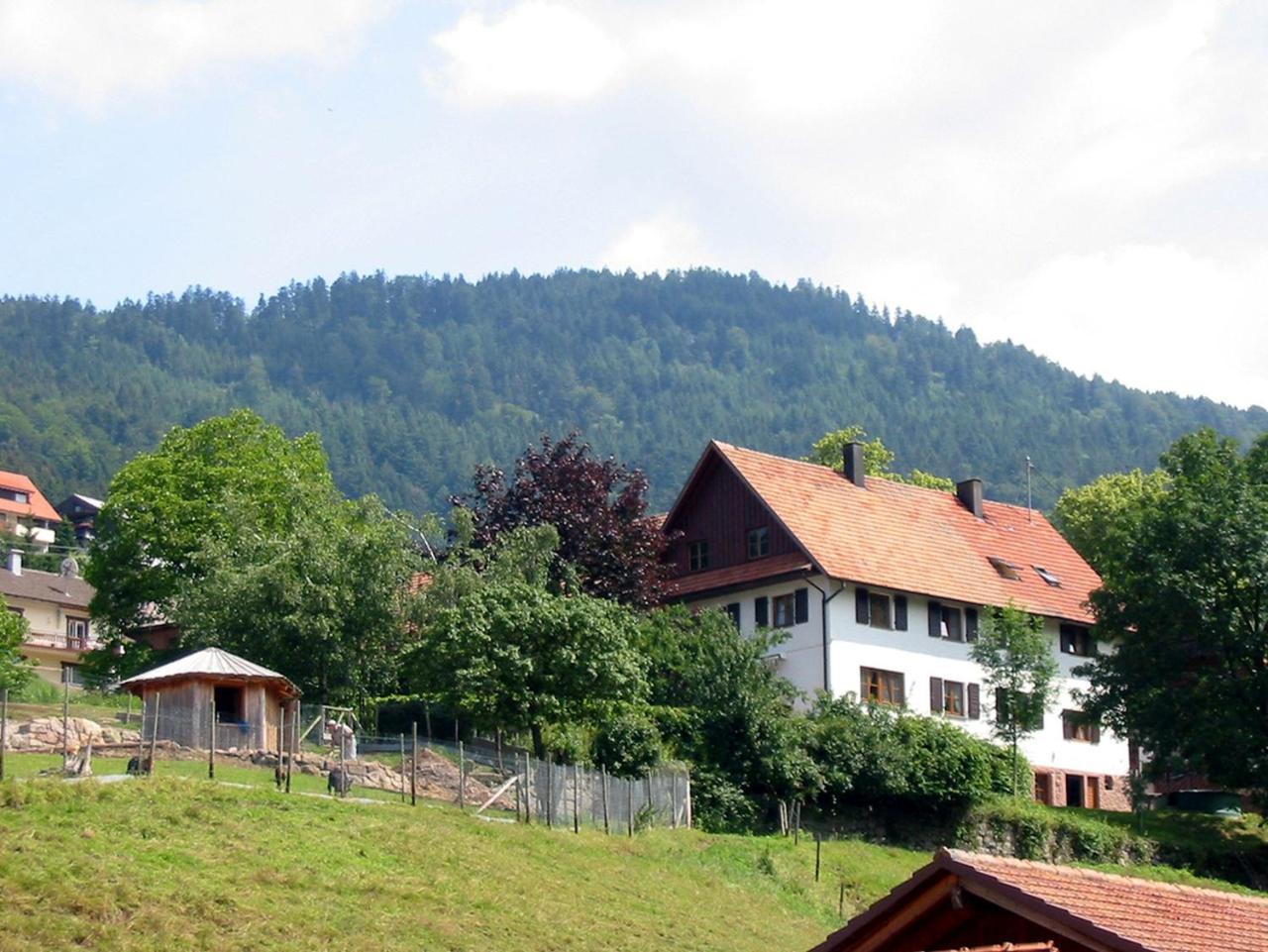Schnurrenhof Apartment Seebach Bagian luar foto
