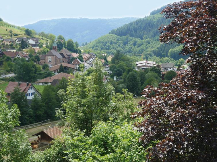 Schnurrenhof Apartment Seebach Bagian luar foto